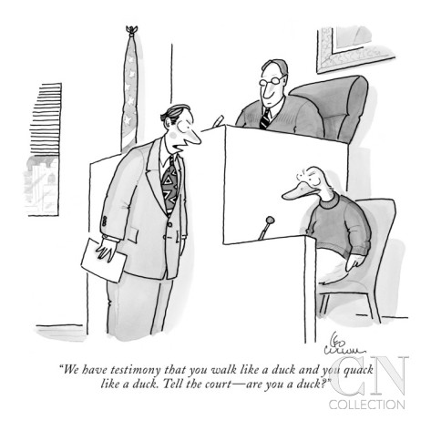 A cartoon of a court proceedings in which the prosecutor is asking the defendant who is a duck if he is in fact a duck because he has testimony that says the defendant quacks like a duck