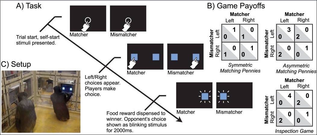 No alt text provided for this image