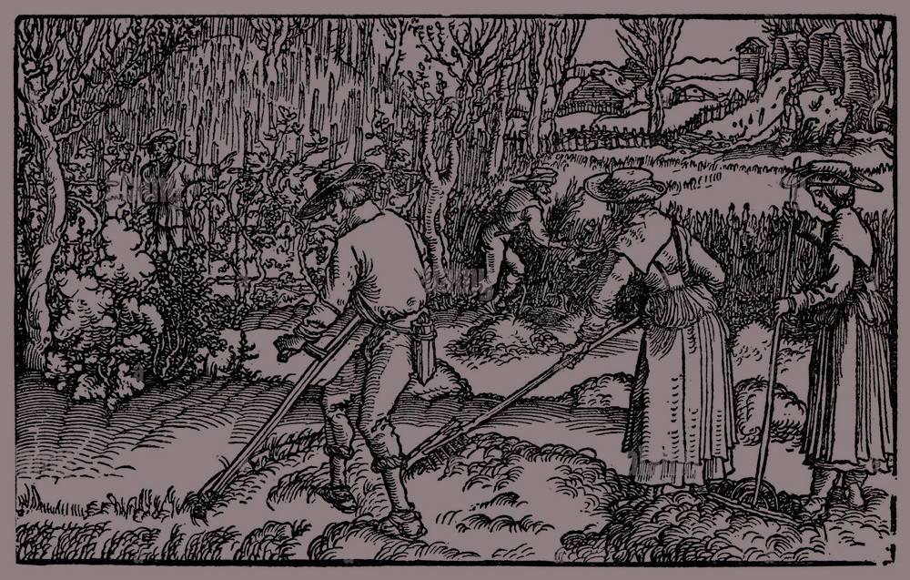 hunting through haystacks